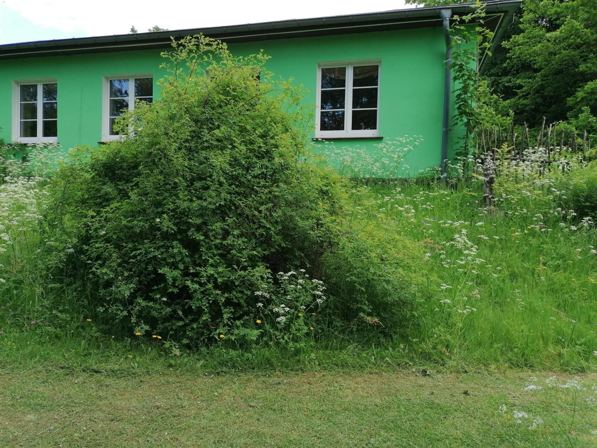 Hotel Kraeuterbaude Saupsdorf Esterno foto